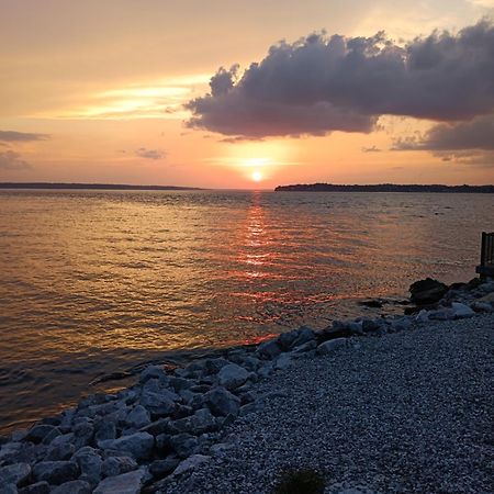 The Gemini-A Dreamy, Waterfront Tiny Cabin Rogersville Eksteriør bilde