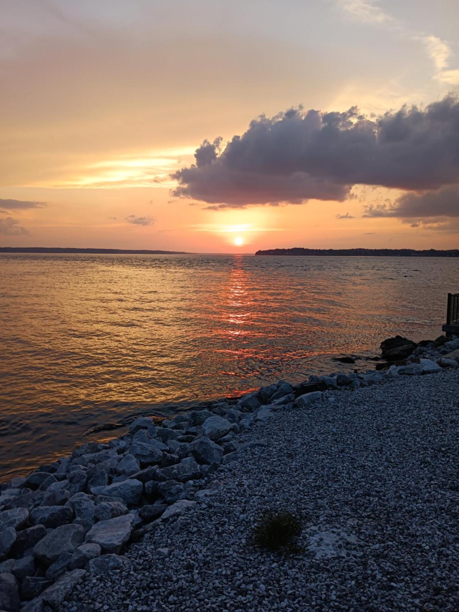 The Gemini-A Dreamy, Waterfront Tiny Cabin Rogersville Eksteriør bilde